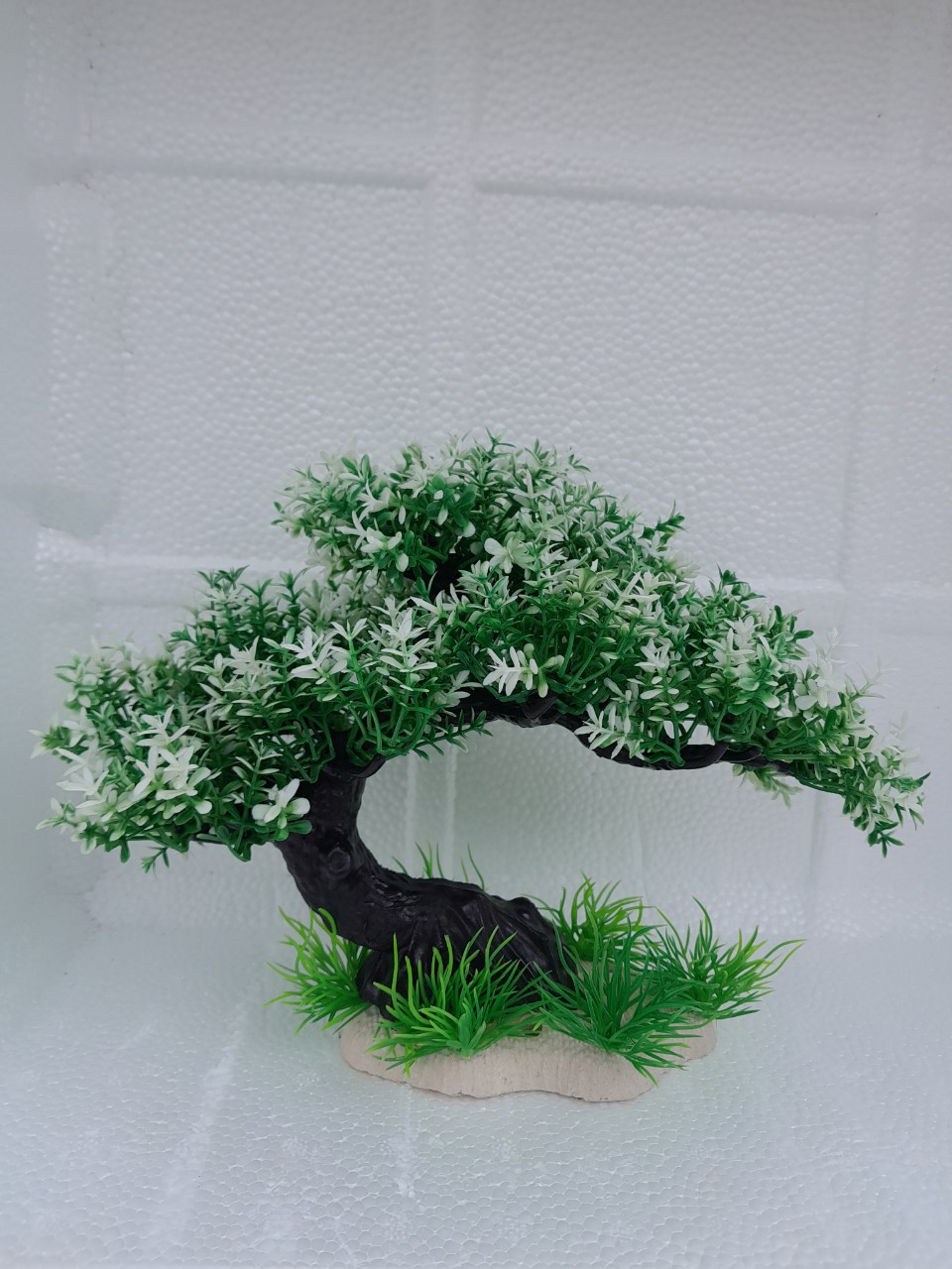 Bonsai bể Cá - Cỏ - Rong Trang Trí Bể Cá