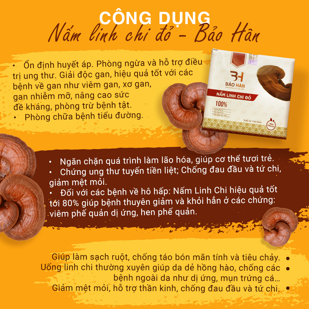 Nấm Linh Chi Đỏ Thái Lát Bảo Hân 100g