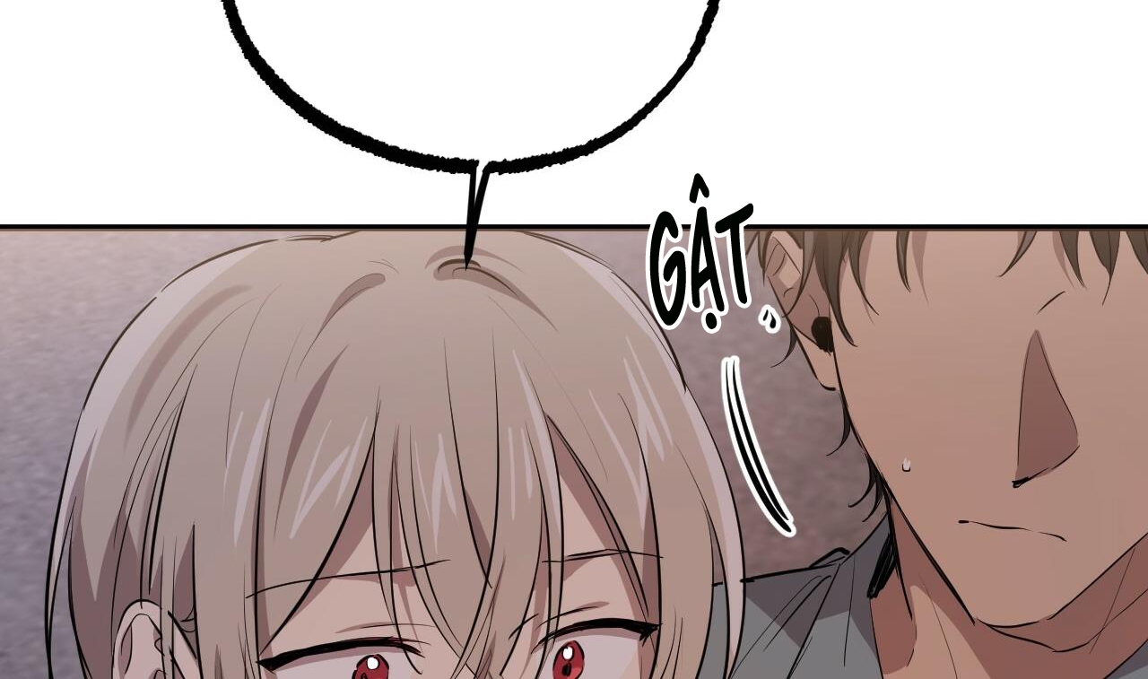 những chú thỏ của hapypy chapter 51 251