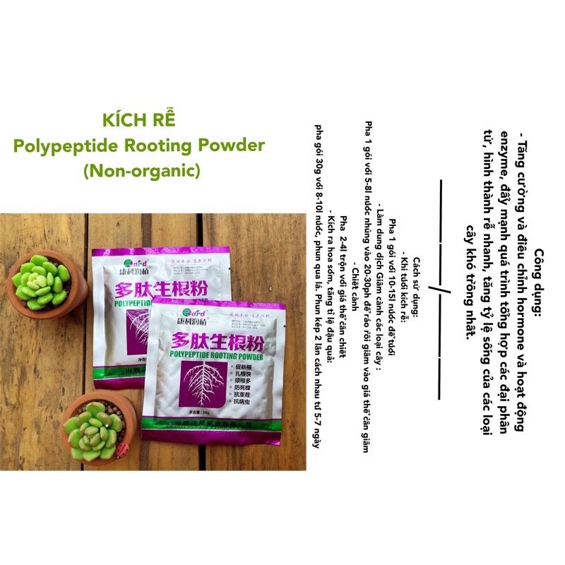 Siêu Kích Rễ Nội Địa Trung - Polypeptide Rooting Powde - Gói 30Gr