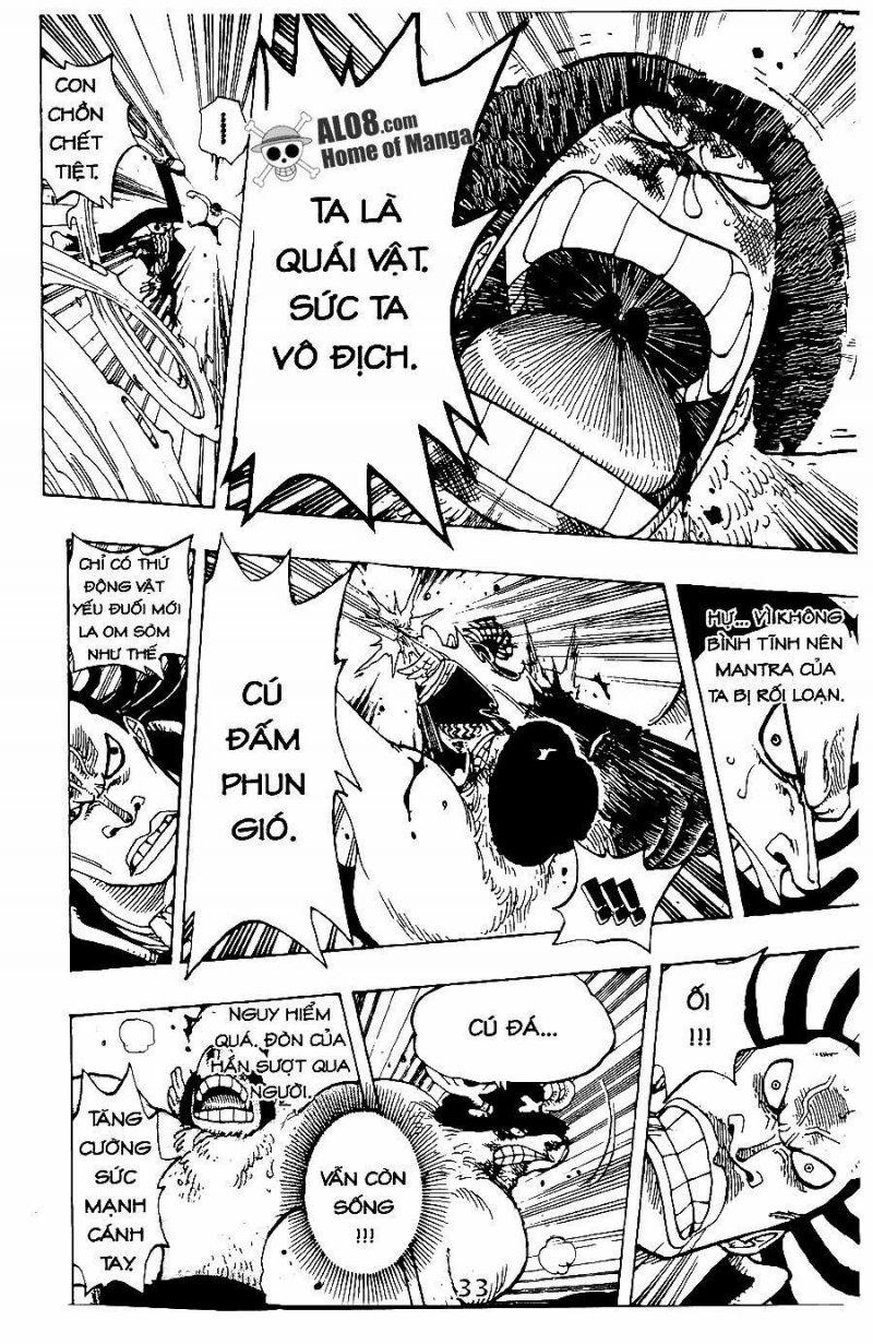 đảo hải tặc - one piece chapter 262 20