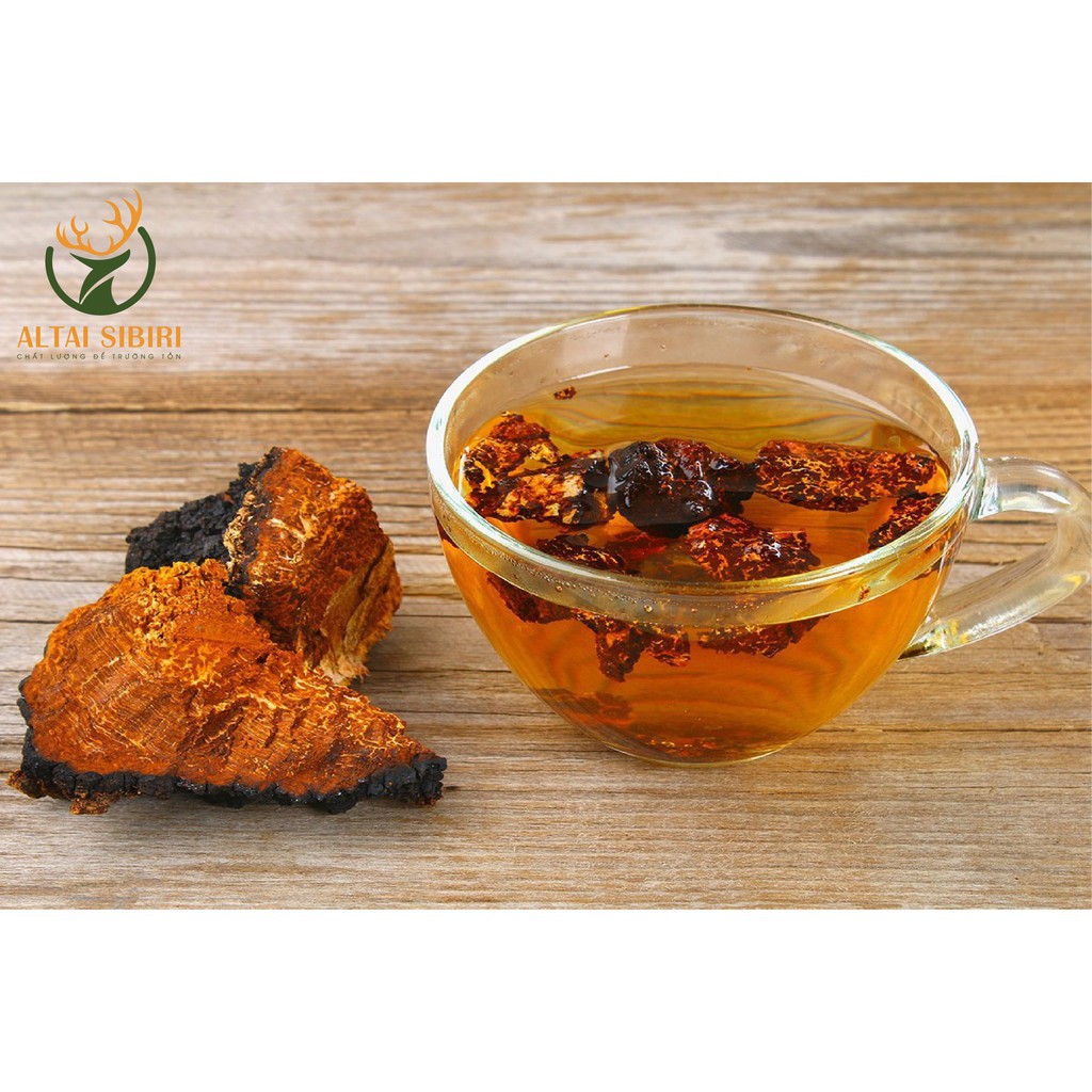 Nấm Chaga Sibiri - Pha trà, Làm chậm sự phát triển của khối u, tốt cho người huyết áp cao, tim mạch, tiểu đường