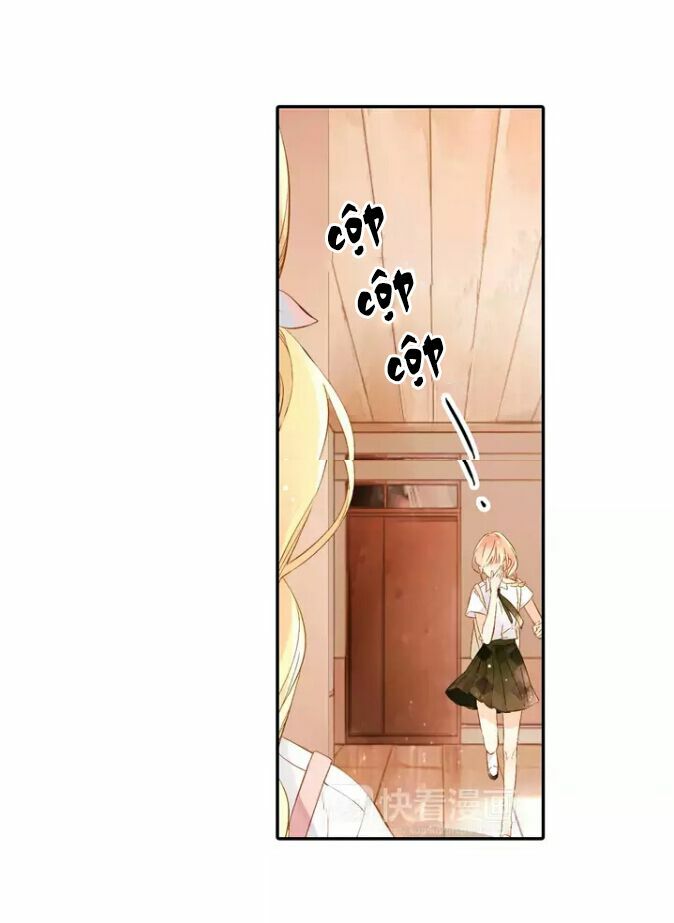 Tình yêu là màu hoa anh thảo chapter 27.1 11