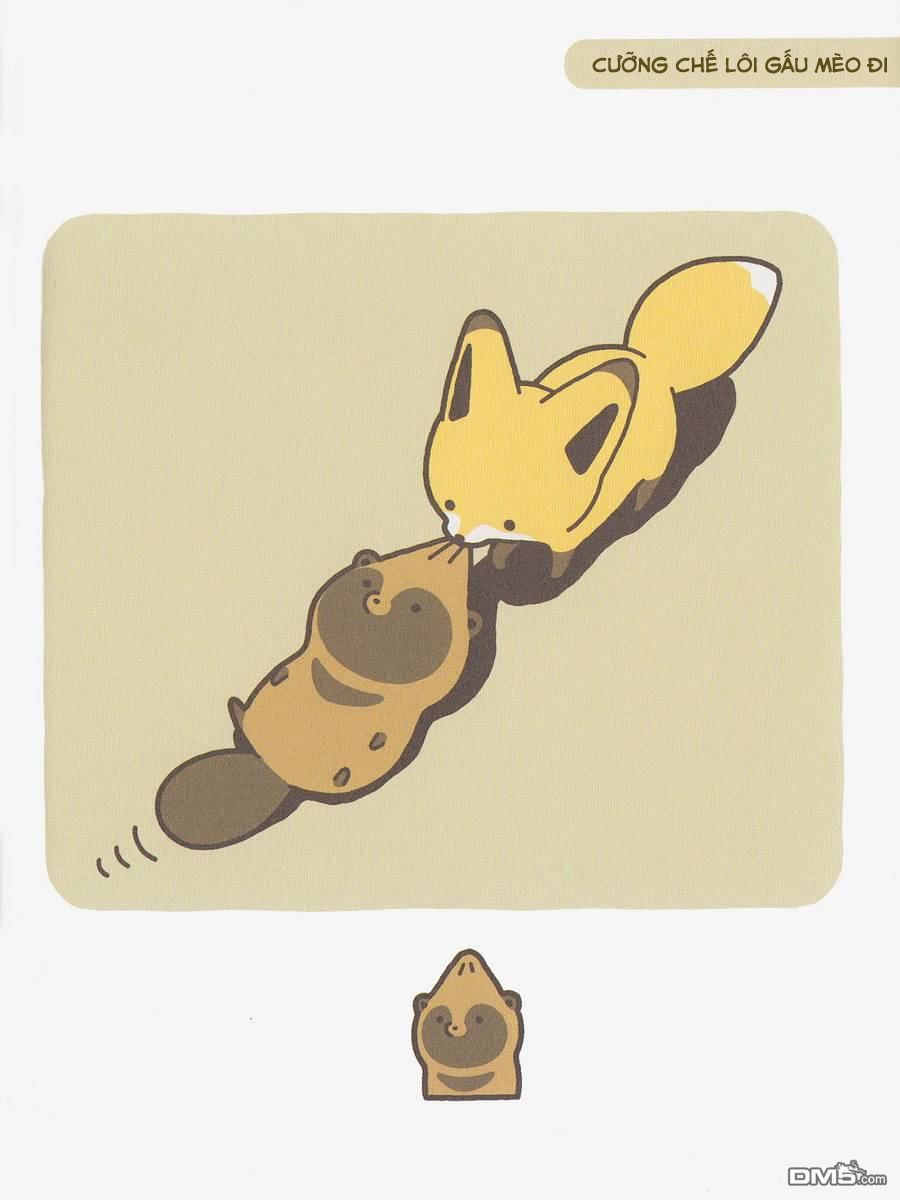 cáo và gấu mèo chapter 3 4