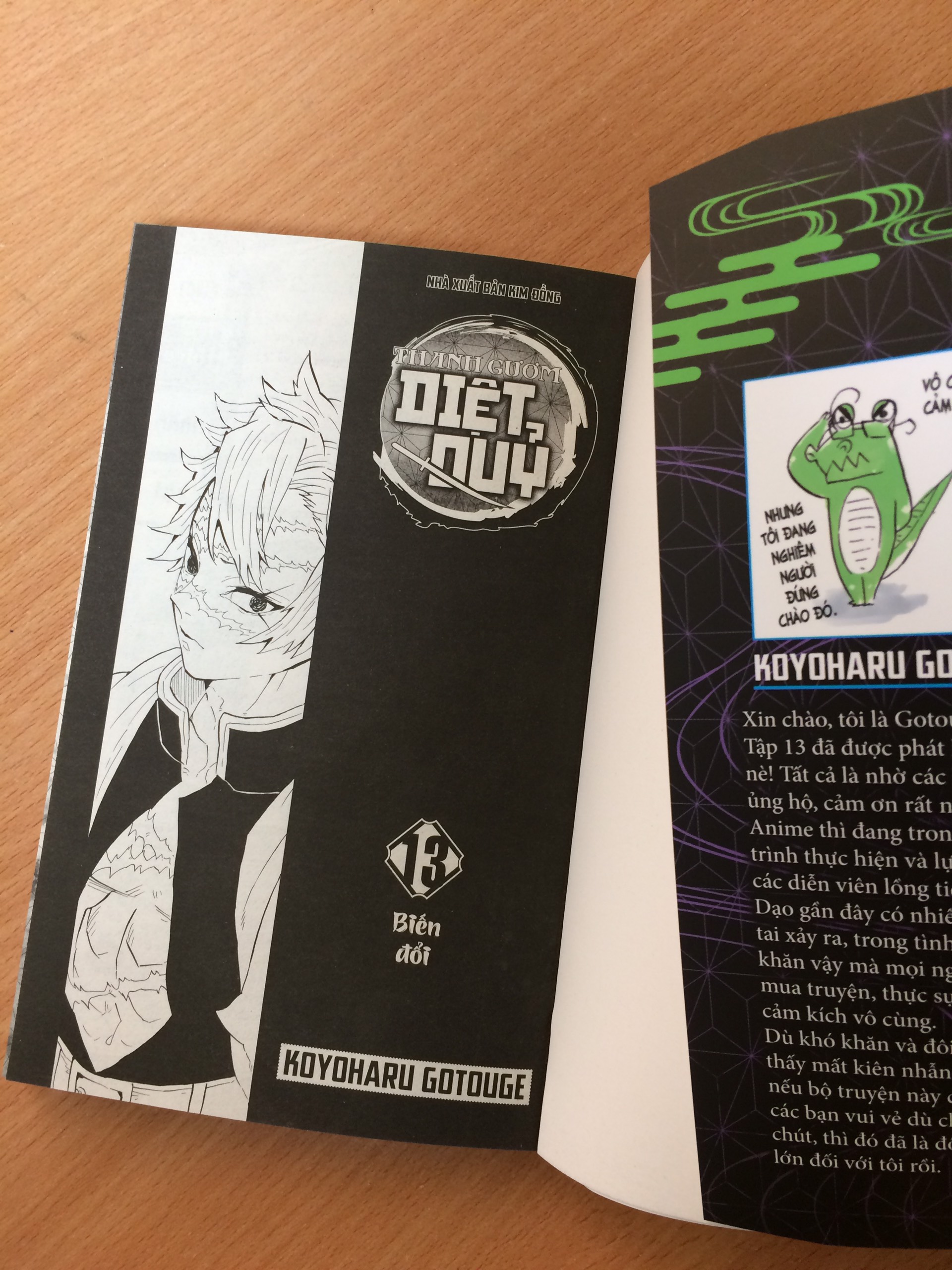 THANH GƯƠM DIỆT QUỶ - TẬP 13