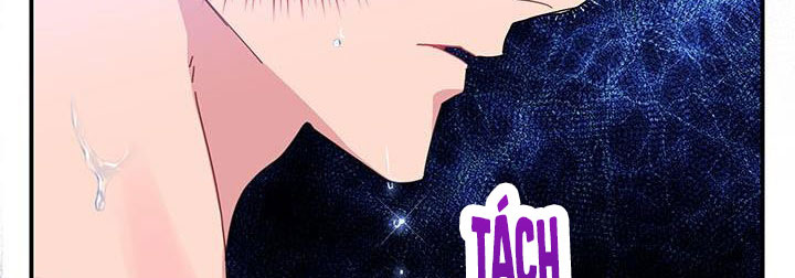 công chúa của loài chim chapter 50.1 230