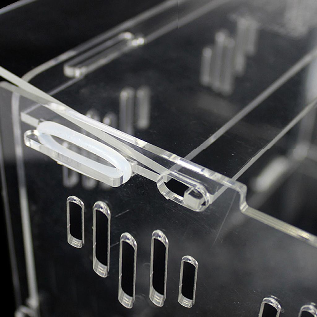 Acrylic Box Crawler Spider Scorpion Centipede Insect Feeding Insect Box - XS
