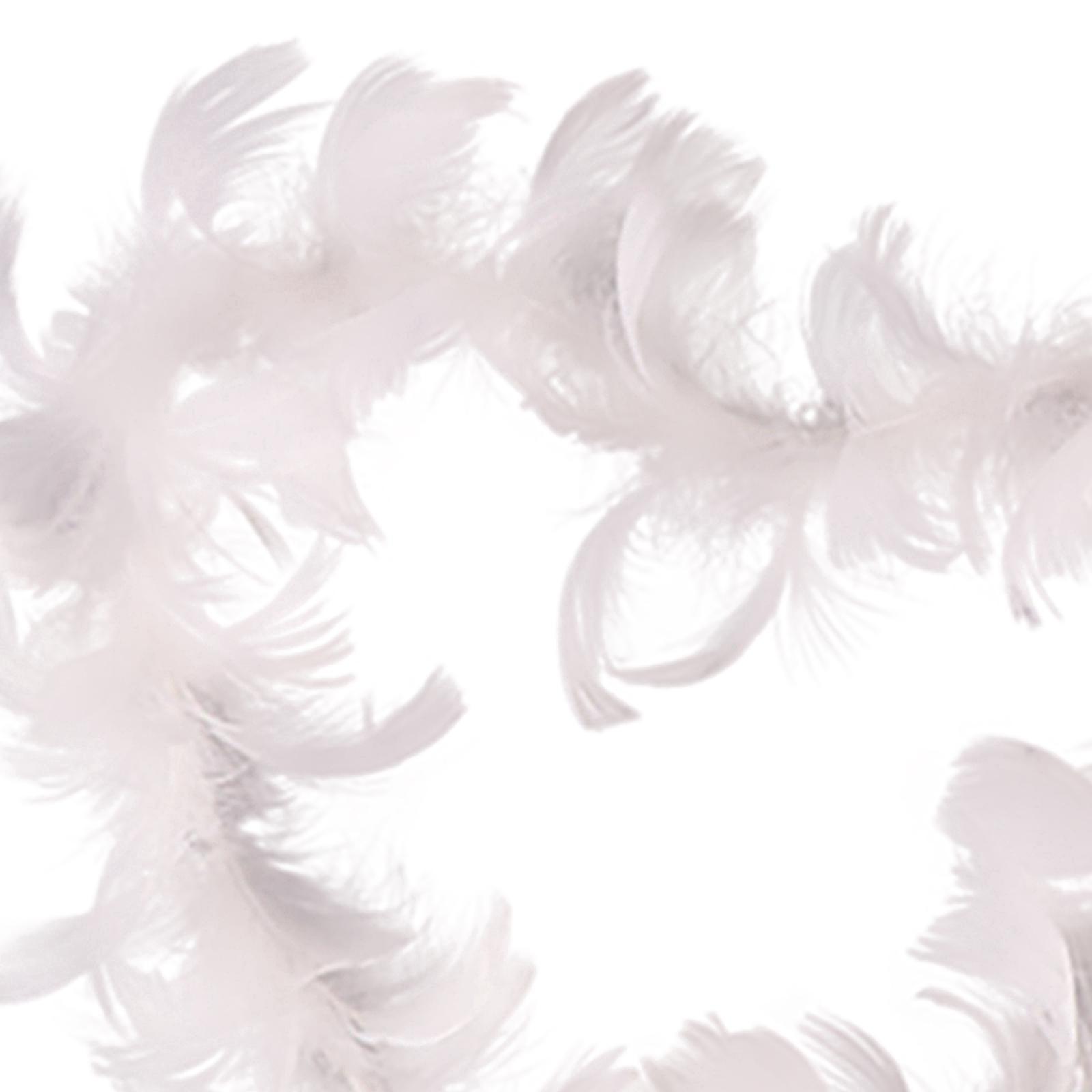 2PCS Feather Cake Toppers Cupcake Toppers Cake Decoration for Party Birthday Christmas New Year