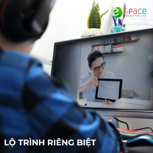 [e-space.vn] Trải nghiệm tiếng Anh online 1 kèm 1 - Tiếng Anh phỏng vấn 