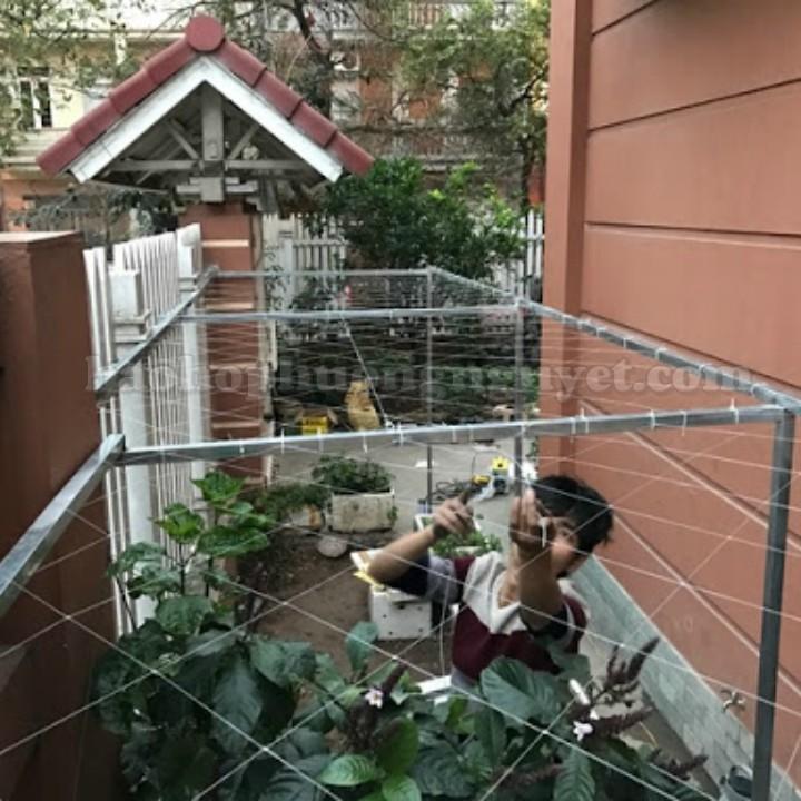 Lưới giàn leo,lưới giàn cây