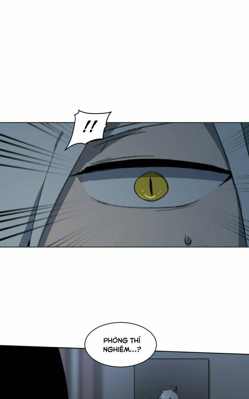 code adam chapter 3 31