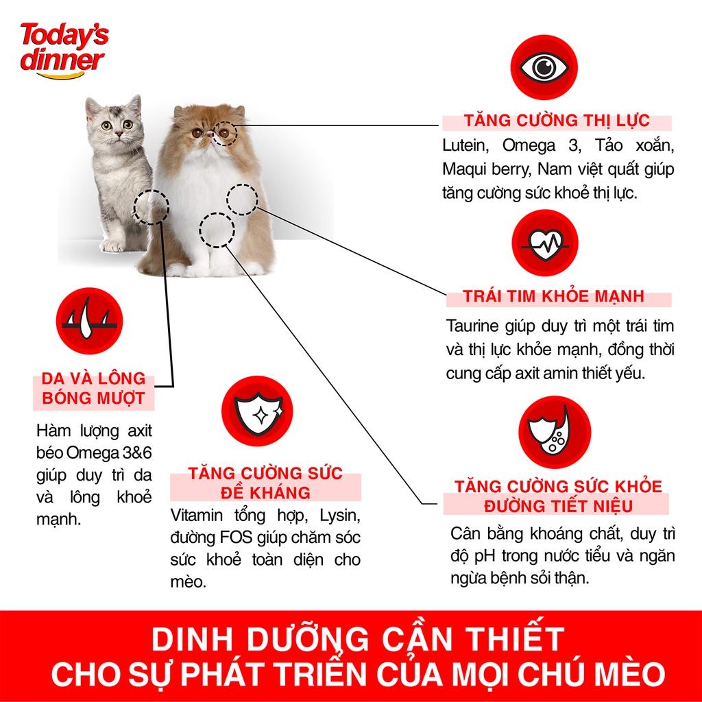 Thức ăn hạt cho mèo - TODAY'S DINNER thức ăn cho mèo 1KG