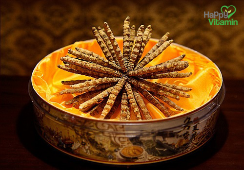 viên uống thực phẩm chức năng Đông Trùng Hạ Thảo của mỹ pure cordyceps pharmekal01