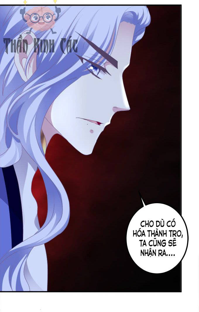 kiểm soát tuyệt đối chapter 1 51