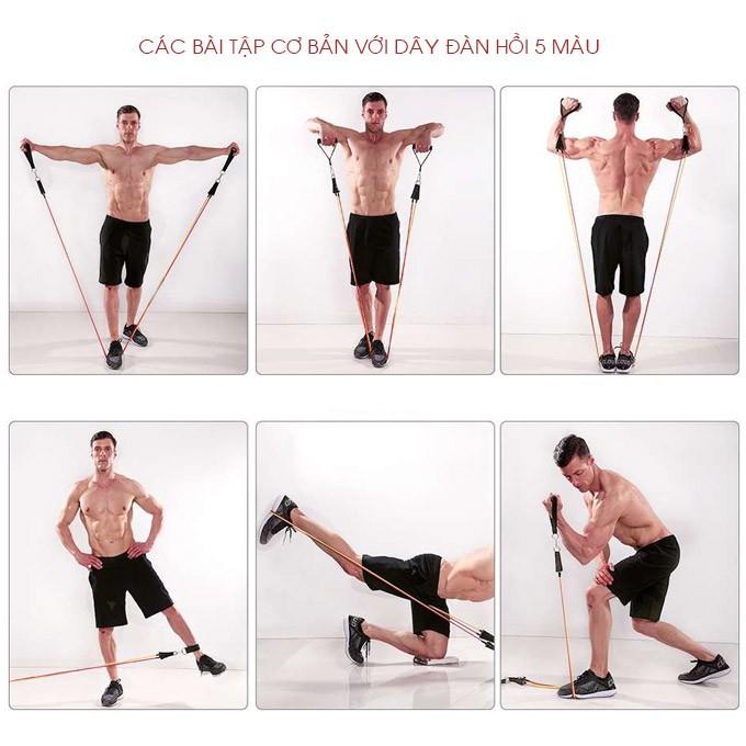 Dây Ngũ Sắc Tập Gym Đa Năng Kháng Lực Đàn Hồi (11 món) - Tập Thể Hình Full Body Tại Nhà D01