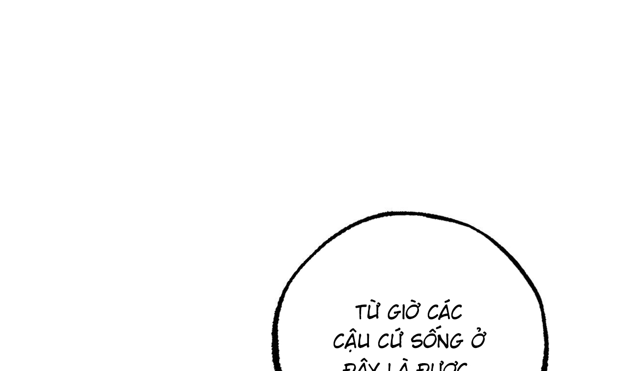 những chú thỏ của hapypy chapter 51 229