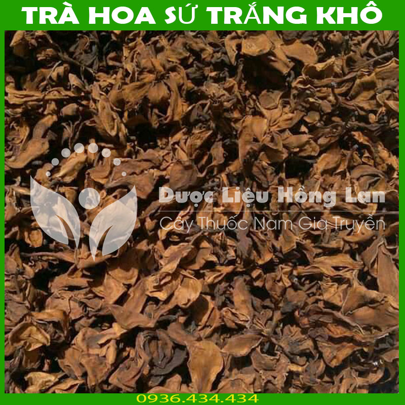 Trà hoa sứ trắng khô sạch đóng gói 1kg
