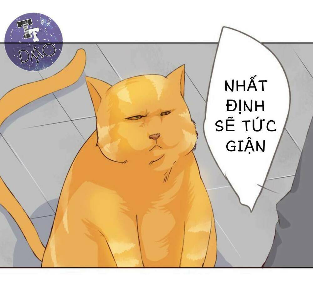 tôi không phải đa nhân cách chapter 11 40