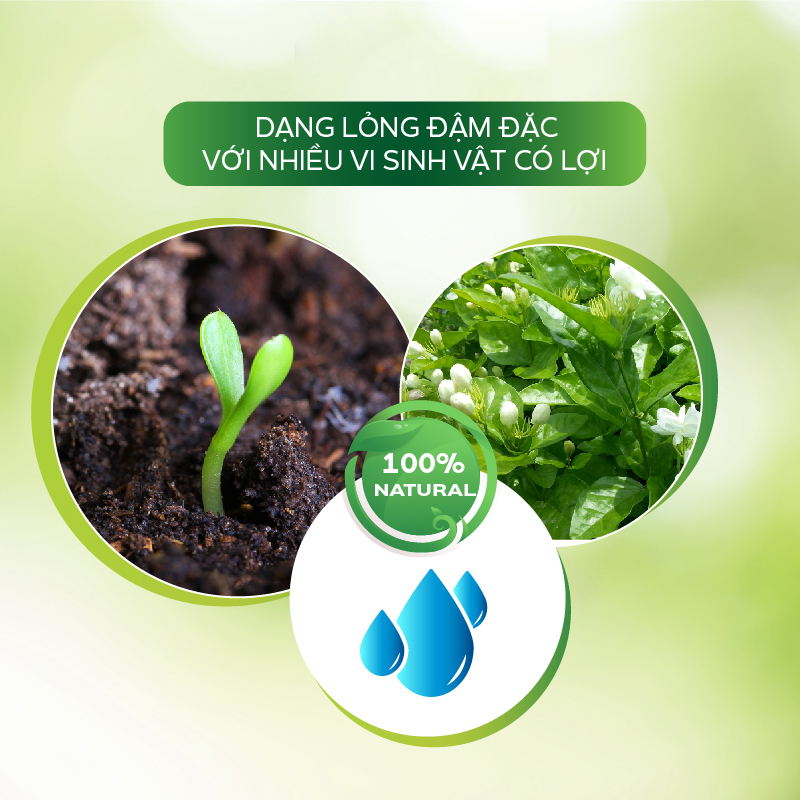 Chế Phẩm Trừ Nấm Bệnh Sinh Học Phổ Rộng Trị Bệnh Thối Rễ, Thối Thân, Nấm Quả, Thán Thư, Sương Mai- Vaccino Can 500ml