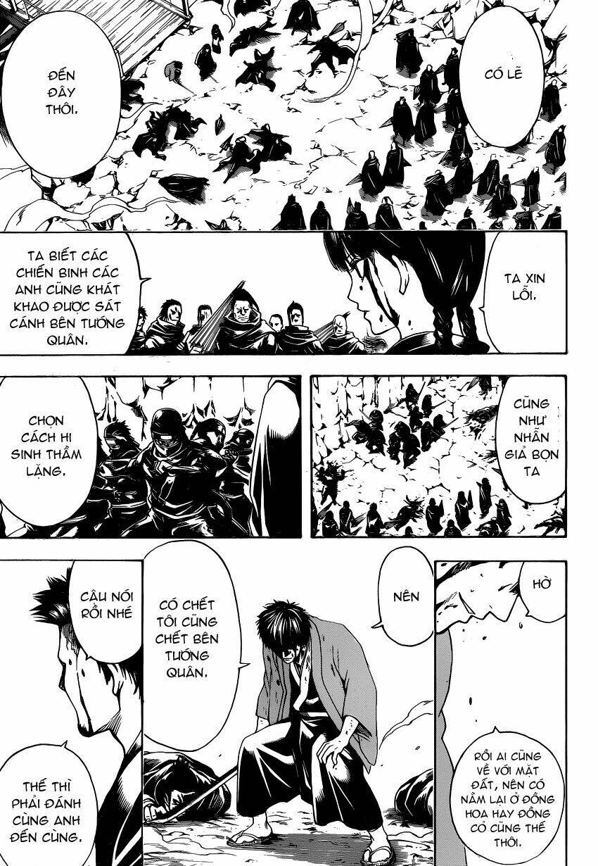 gintama - linh hồn bạc chapter 521 10