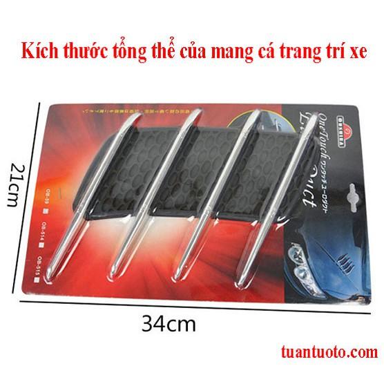 Cặp mang cá trang trí ô tô