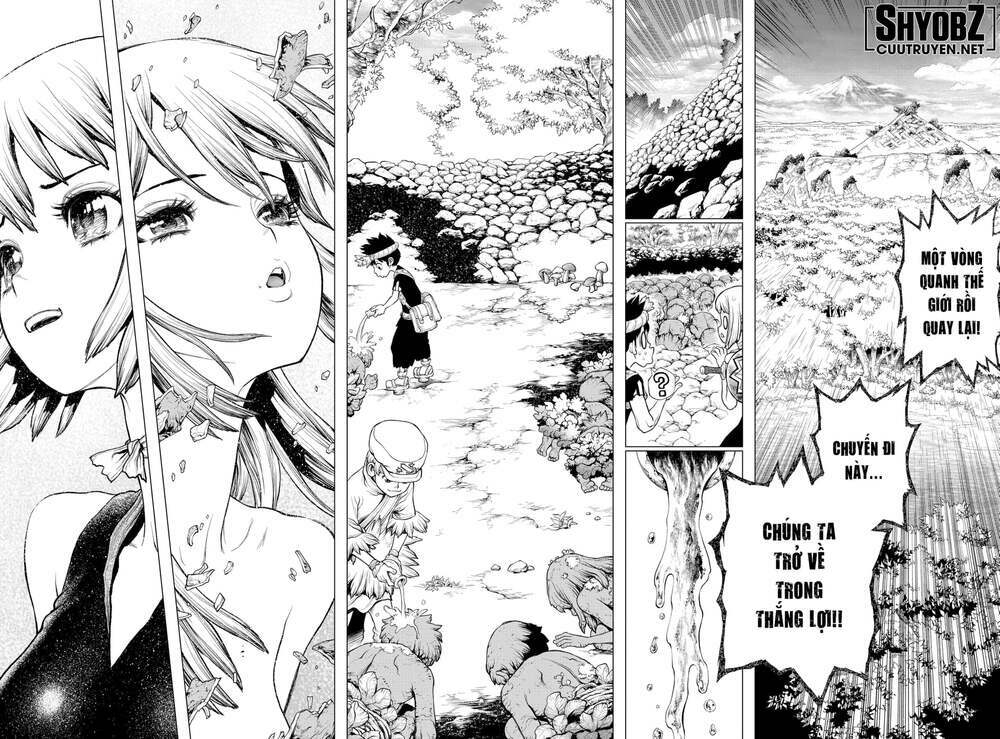 dr.stone - hồi sinh thế giới chapter 212 9