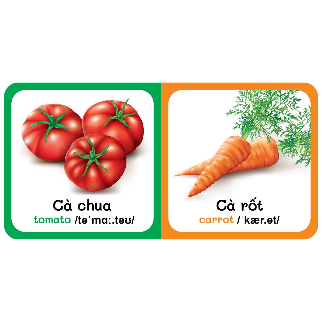 Sách - Baby'S First Picture Dictionary - Từ Điển Bằng Hình Đầu Tiên Của Bé - Rau Củ - Vegetable (Bìa Cứng)