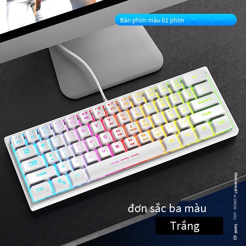 Giá thấp nhất FV-61 cảm giác cơ bàn phím 61 ký tự phím RGB phát sáng máy tính có dây máy tính để bàn máy tính xách tay chơi game