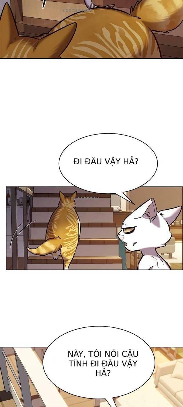 biến thân thành mèo chapter 241 59