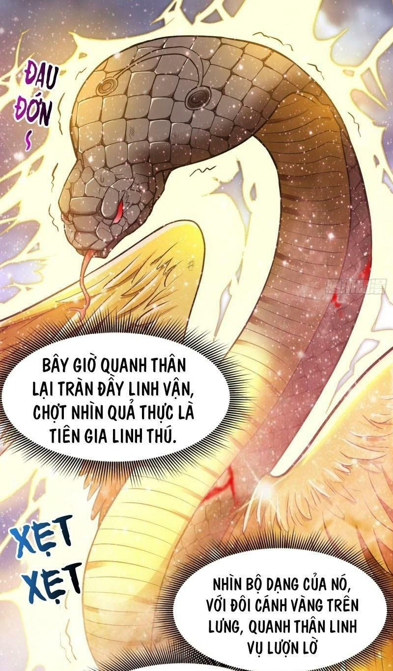 tối cường thần y tại đô thị chapter 72 8
