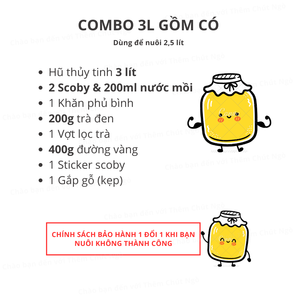 Combo 3L đầy đủ nuôi scoby làm trà kombucha (dùng để nuôi 2,5 lít)