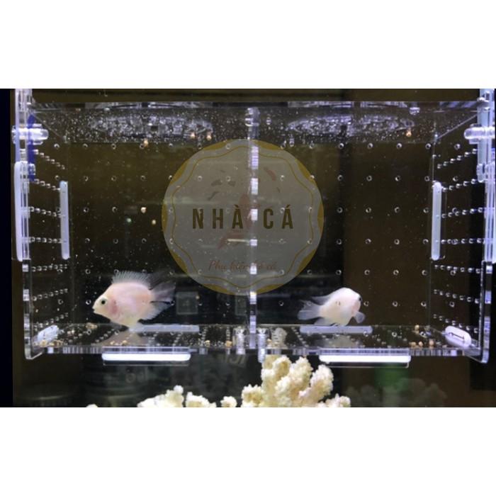 Lồng 15x15x15 và 12x12x12 dưỡng cá đẻ, cá con