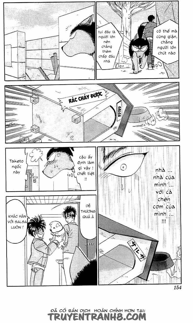 wild half chapter 14 4