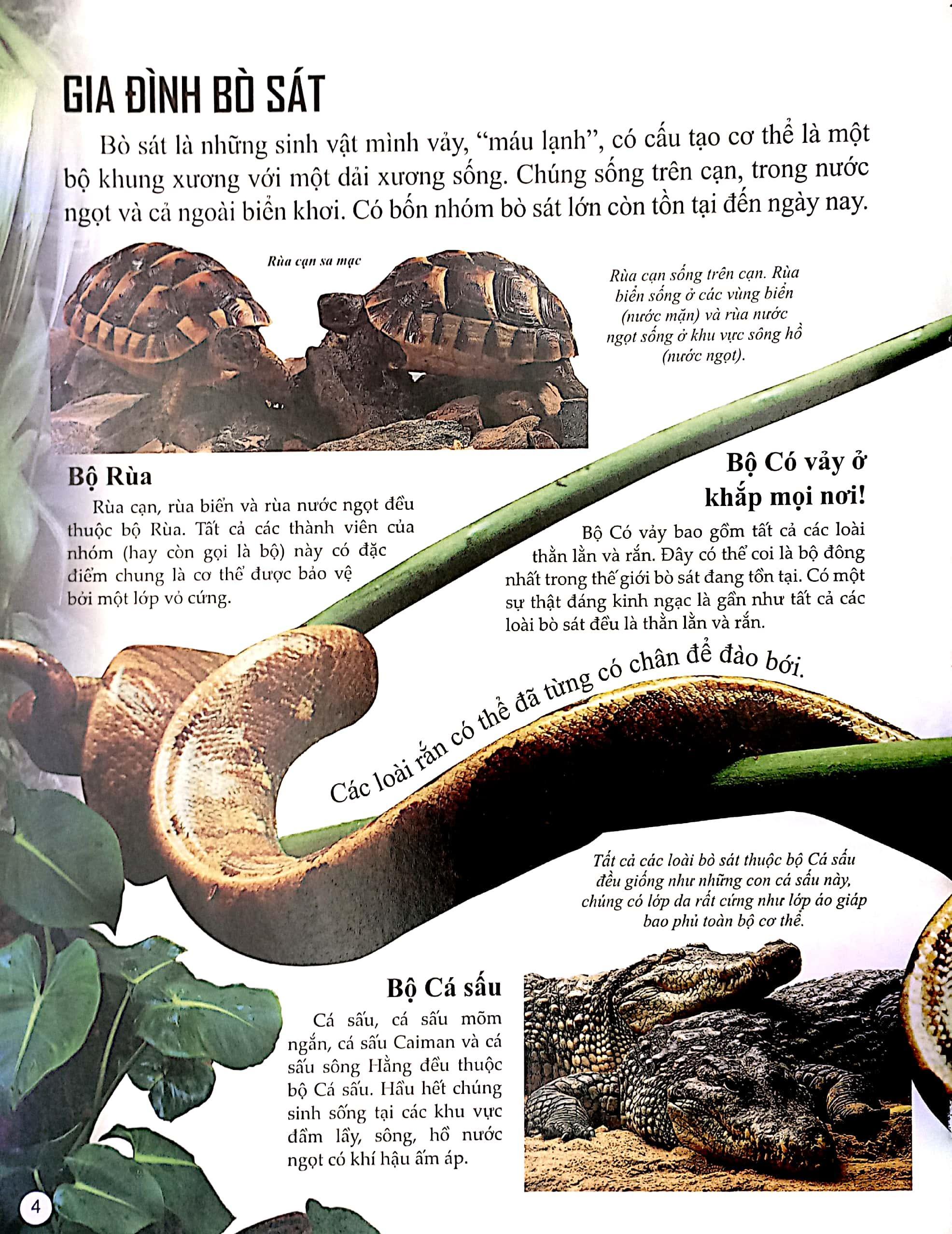 Sách Bách Khoa Tri Thức Về Khám Phá Thế Giới Cho Trẻ Em - Reptiles - Bò Sát