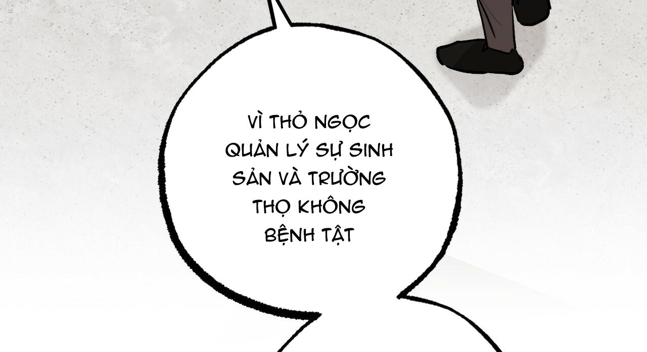 đàn thỏ của habibi chapter 47 125