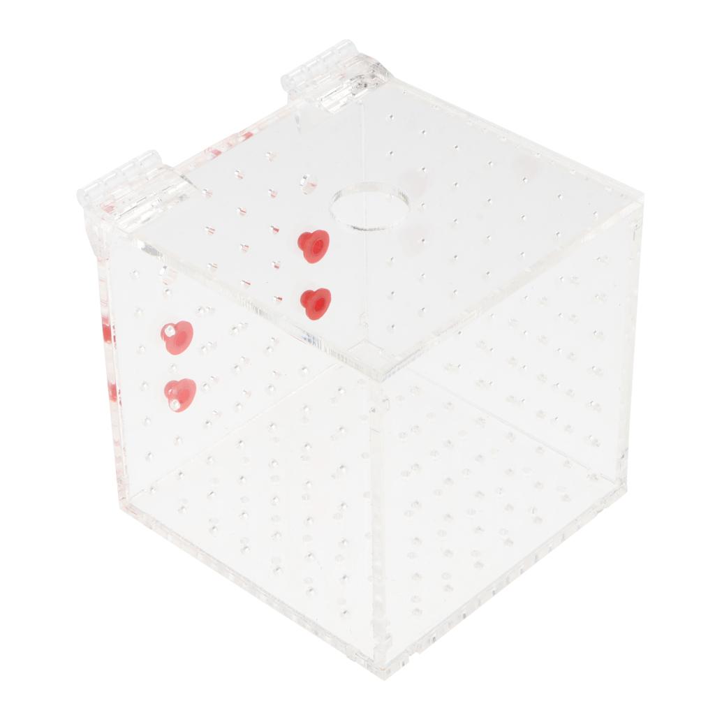 Clear Acrylic Aquarium Fish Incubator Breeding Box Incubator Isolation Box, 2 Size