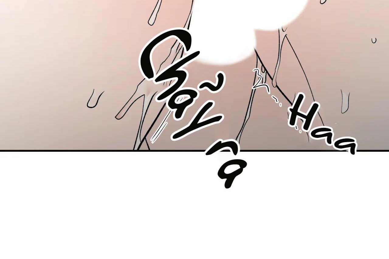 ám ảnh pheromone chapter 55 71