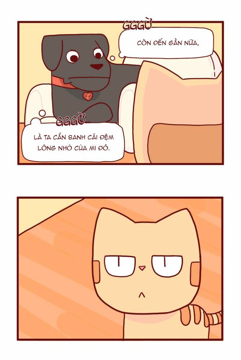 saphie: chú mèo một mắt chapter 15 3