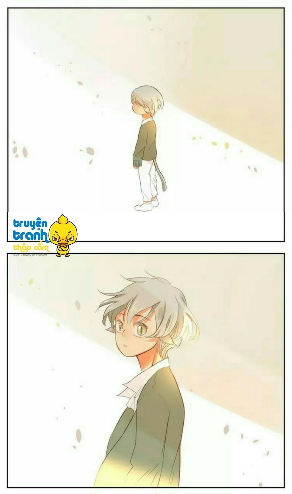 cứu mạng ! loài mèo thống trị thế giới rồi ! chapter 39 10