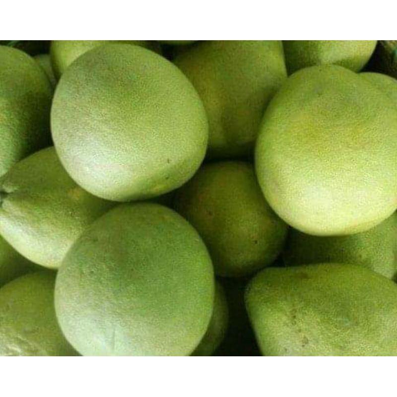 Giống cây bưởi năm roi