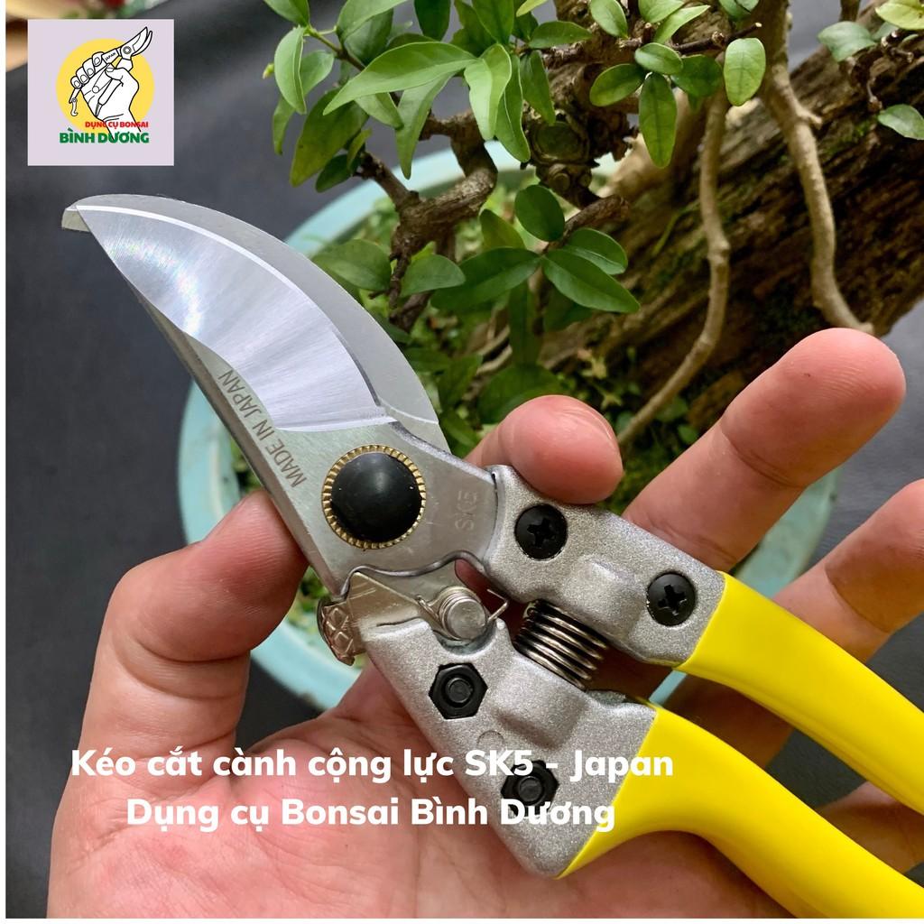 KÉO CẮT CÀNH CỘNG LỰC JAPAN – SK5 CẮT CÂY CẢNH BONSAI