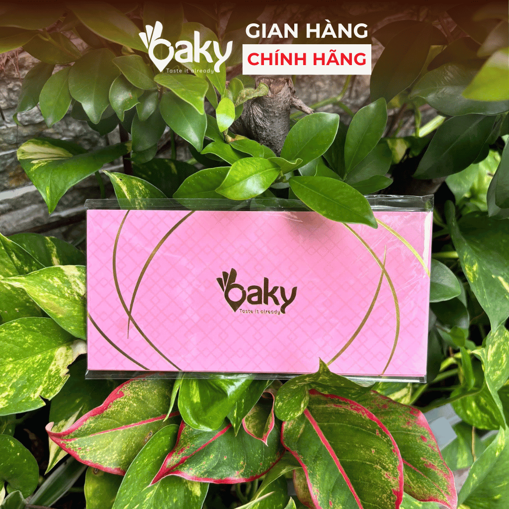 Set 5 Bao Lì Xì Hồng Oaky - Bao Lì Xì Tết Cao Cấp, Đơn Giản - Sang Trọng