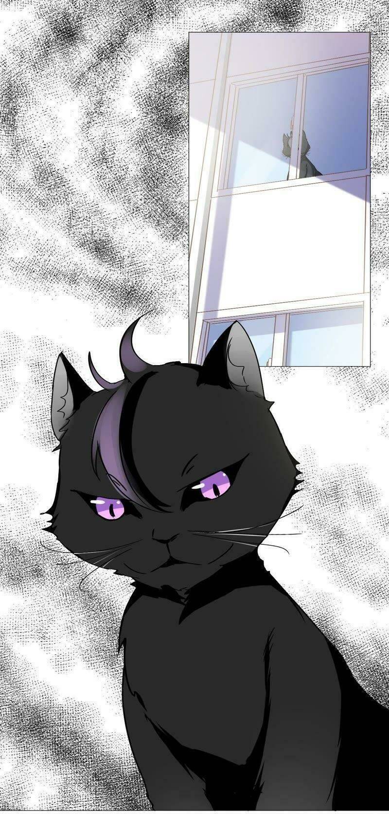 thập nhị hắc miêu chapter 5 8