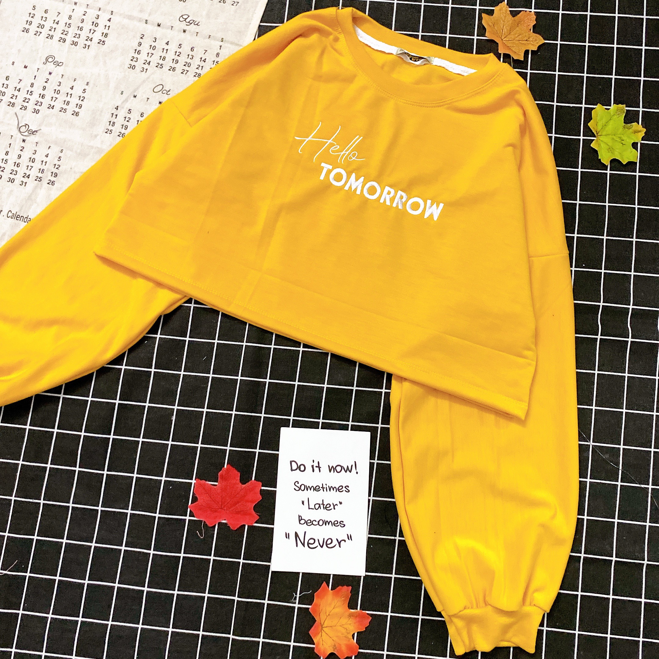 Áo Croptop Tay Dài Không Nón Vải Da Cá Dày Mịn - Chữ HELLO TOMORROW