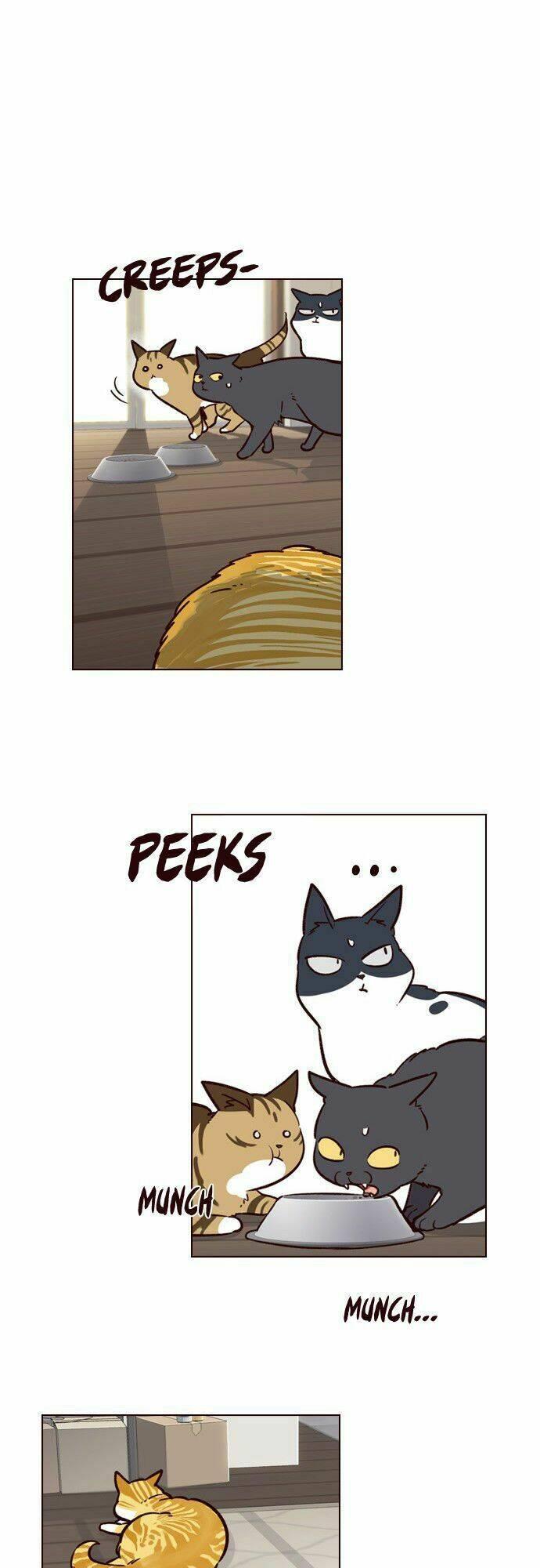 biến thân thành mèo chapter 6 38