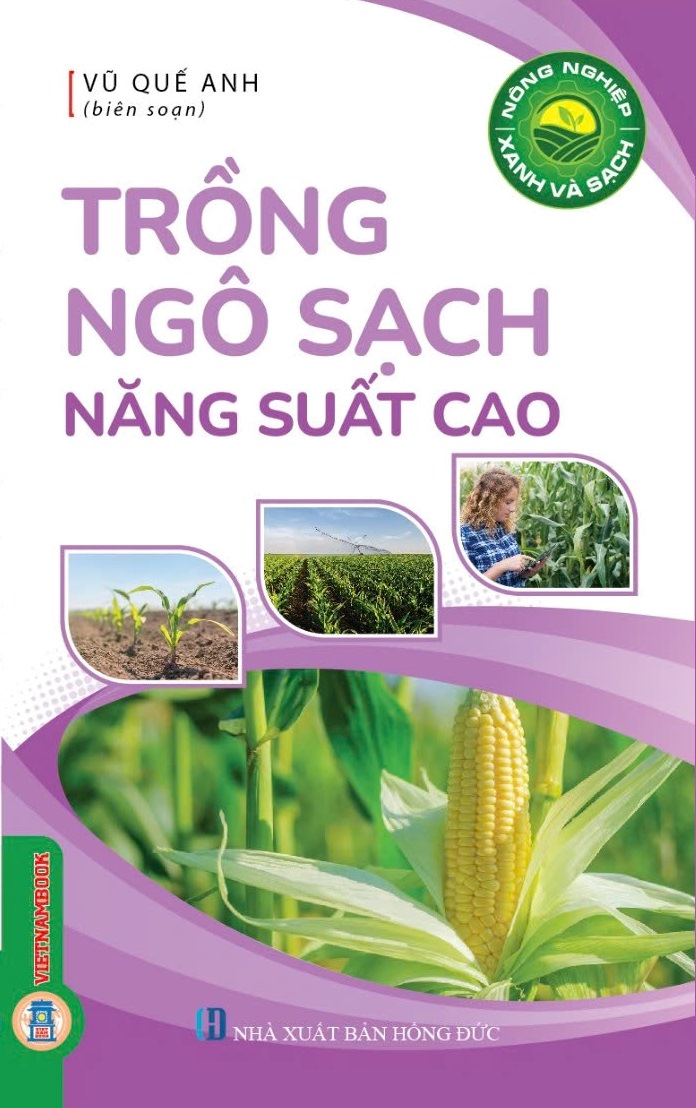 Nông Nghiệp Xanh Và Sạch - Trồng Ngô Sạch Năng Suất Cao