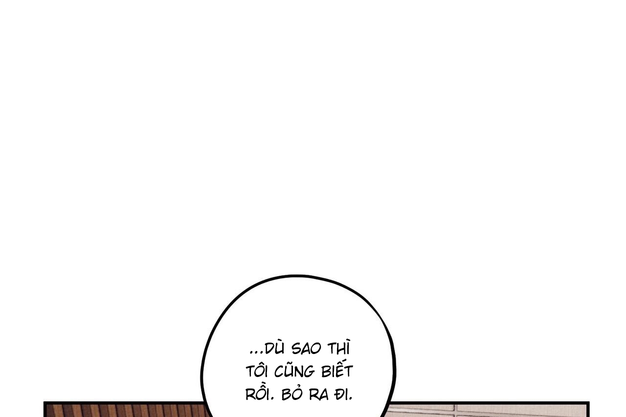 chàng dâu nhà họ kang chapter 33 135