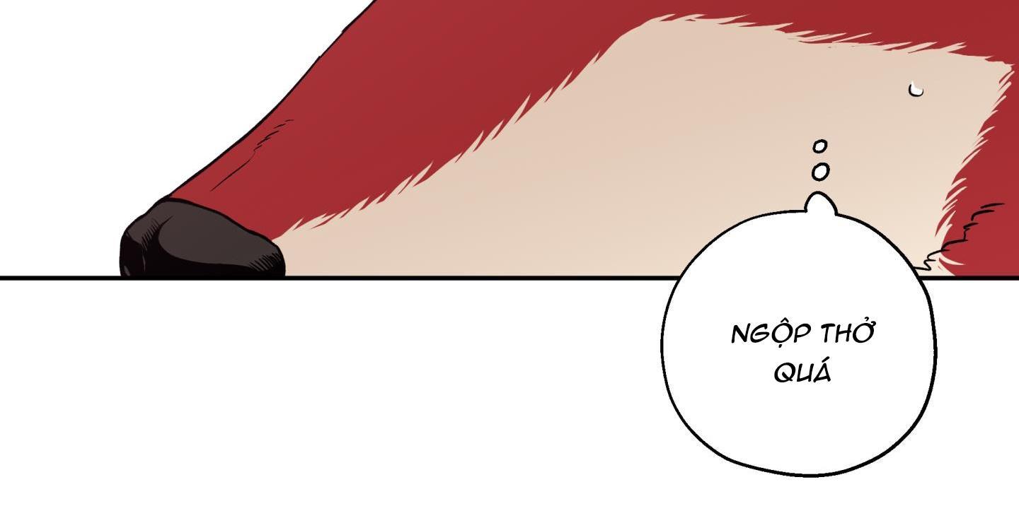 gâu gâu! chapter 51 63