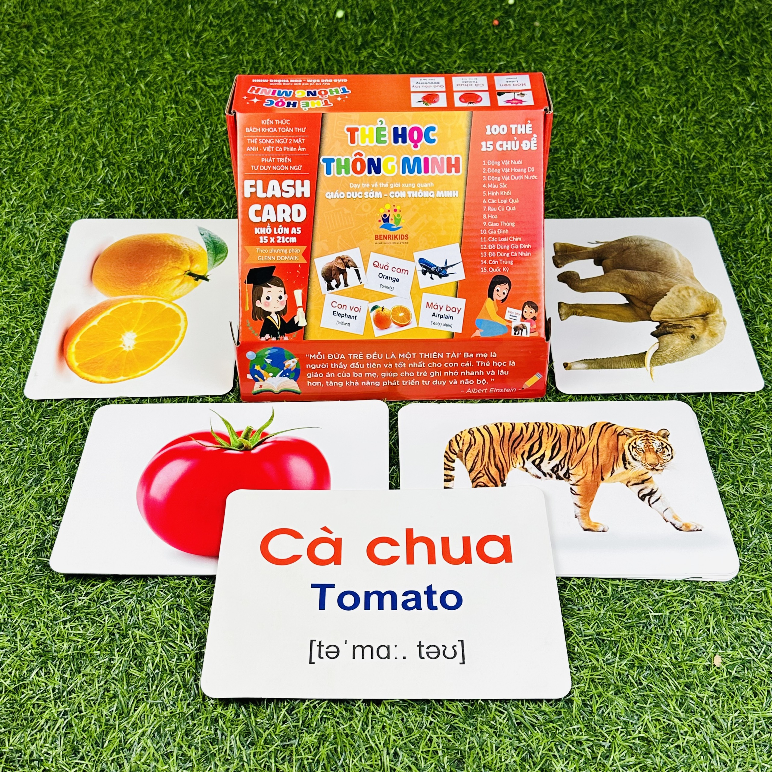 Thẻ Học Thông Minh FlashCard Cho Bé Từ 0 Đến 3 Tuổi Kích Thước Thẻ Lớn 15x21Cm Chống Lóa Không Thấm Nước 100 Thẻ 15 Chủ Đề