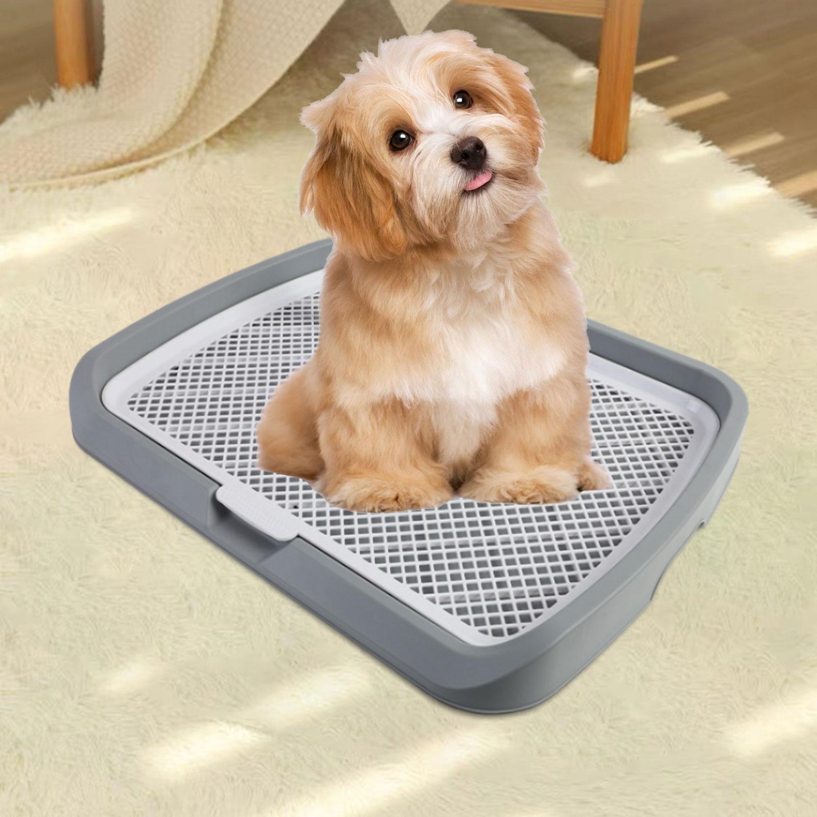 Indoor Open Top Entry Dog Litter Pan Pets Toilet Dark Gray